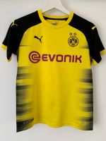 BVB Home Shirt PUMA Unisex Kinder Gr. 152 Bochum - Bochum-Südwest Vorschau