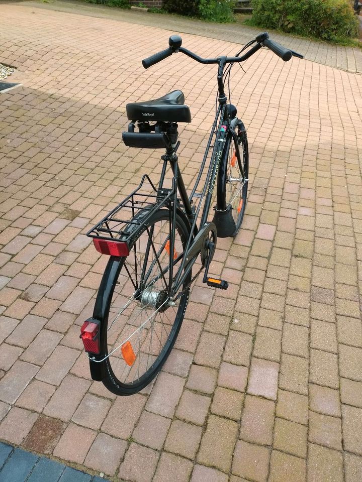 Fahrräder 28zoll in Detmold