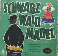 alte Schallplatte DDR Sachsen - Olbernhau Vorschau