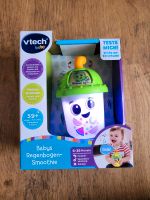 VTECH Babys Regenbogen-Smoothie 6-36 Monate NEU/OVP Thüringen - Großobringen Vorschau