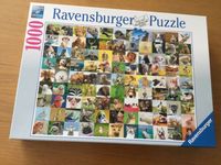 Puzzle ab 1000 Teile zum tauschen Niedersachsen - Beesten Vorschau