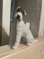 Rosenthal Fox Terrier Porzellan handbemalt Bayern - Germering Vorschau