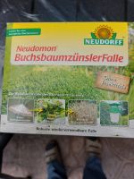 Buchsbaumzünslerfalle Niedersachsen - Wetschen Vorschau