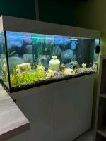 Aquarium 180 Liter Juwel Rio mit Unterschrank Thüringen - Artern/Unstrut Vorschau