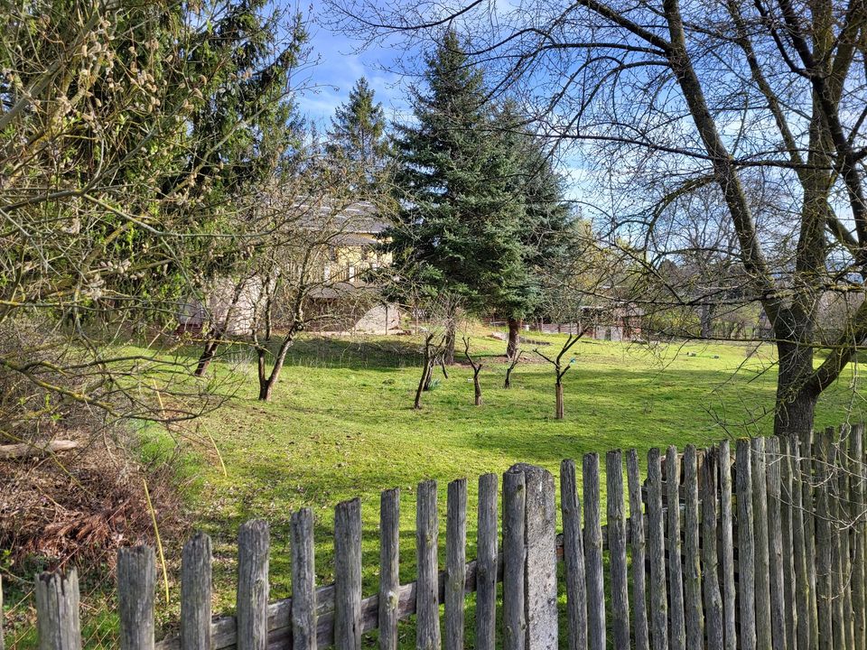 Traumhaftes Gartengrundstück in Dornburg (Saale) in Dornburg