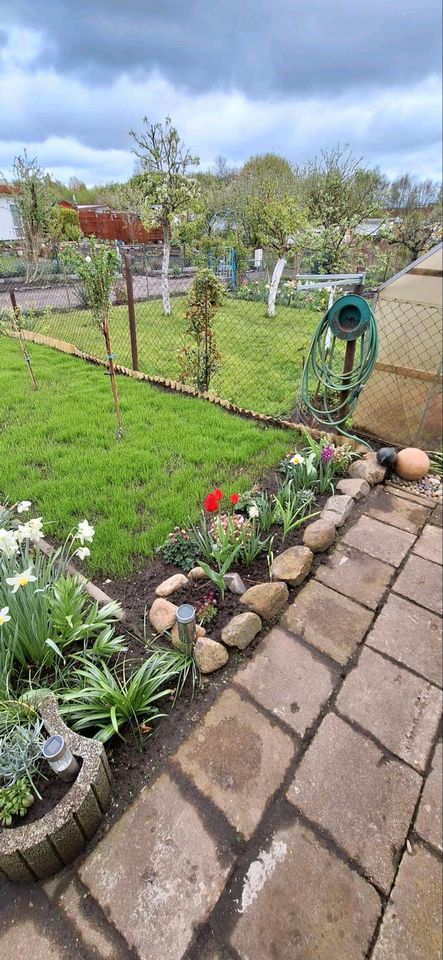 Garten in Gartensparte Vogelsang in Stralsund