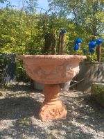 Terracotta Pflanzgefäß Gartenbrunnen Impruneta NP. 1.500 € Blumen Hessen - Hofheim am Taunus Vorschau