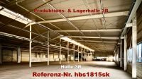 Gebrauchte Produktions- & Lagerhalle 30x60x6/8m Stahlhalle aus Abbruch Rheinland-Pfalz - Trier Vorschau