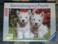 Hundewelpen, 1000, Ravensburger Puzzle Nordrhein-Westfalen - Krefeld Vorschau