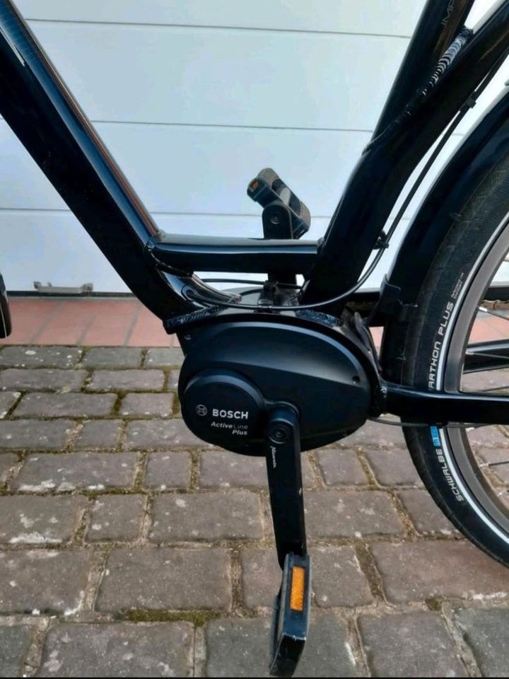 E-Bike Hercules E-Imperial 180 S R8 in Dorum