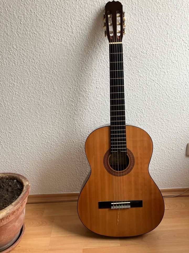 Klassische Gitarre Akustikgitarre Hohner Modell HC 06 Set in Rostock