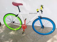 Rennrad Fixie Bulls 28 Zoll Brandenburg - Potsdam Vorschau