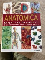 Anatomica Körper und Gesundheit Buch Bayern - Lauben Vorschau