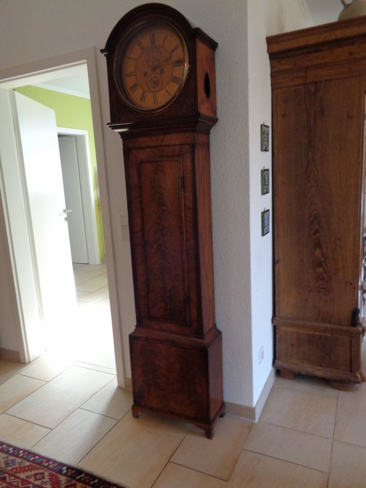 Original englische Standuhr in Mahagonieholz von 1800 in Gievenbeck