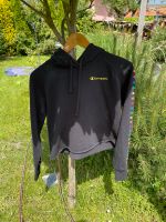 Champion Pulli Bayern - Raubling Vorschau