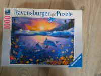 Ravensburger 1.000 Puzzle Delfin Niedersachsen - Wittmund Vorschau