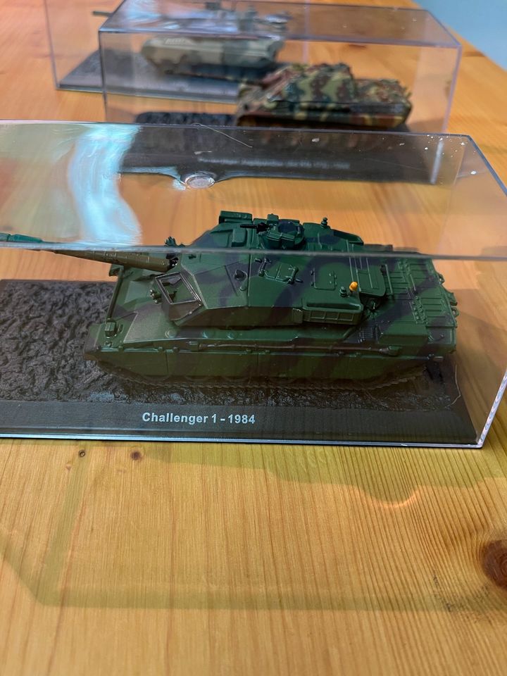 Panzer Modell in Großrückerswalde