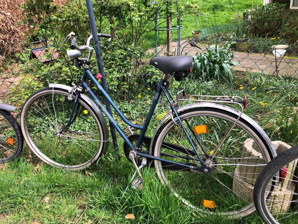 Fahrräder Mountainbike, City Bike in Detmold