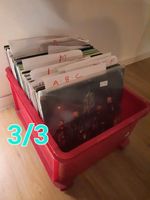 Schallplattensammlung Vinyl Schallplatte Hip Hop RnB 3/3 Hamburg-Nord - Hamburg Winterhude Vorschau