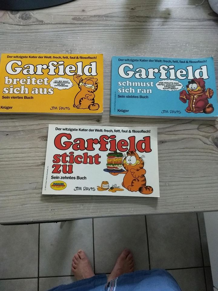 Garfield sein 4., 7. und 10. Buch in Bad Iburg