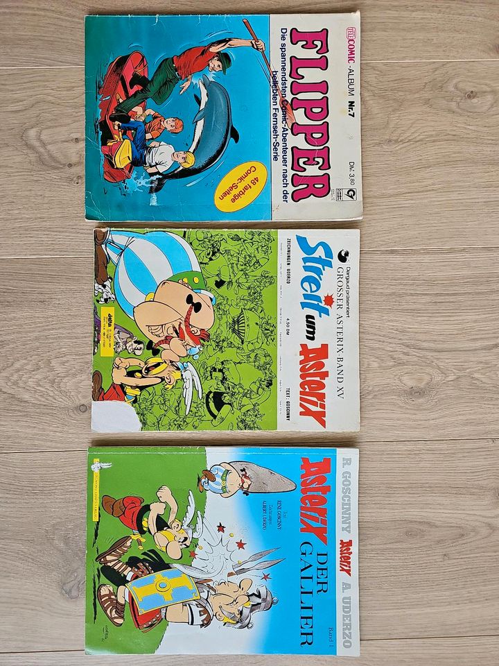 Comic Hefte  Flipper Streit um Asterix der Gallier in Höchst im Odenwald