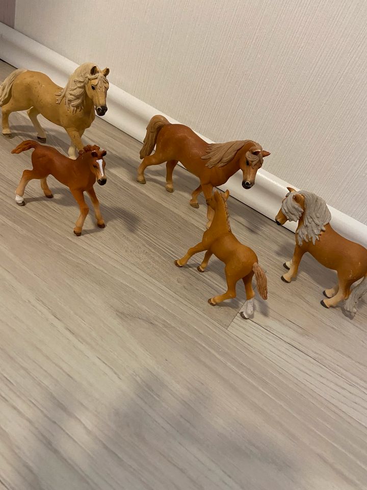 Schleich Pferde in Seth Holstein