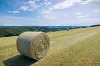 Heu Rundballen Ernte 2023 Rheinland-Pfalz - Sensweiler Vorschau