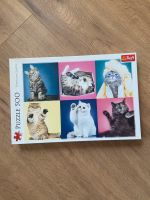 Puzzle Katzen 500 Teile Brandenburg - Neuruppin Vorschau
