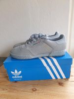 Adidas Yeezy Powerphase, 44, 2/3 Berlin - Zehlendorf Vorschau