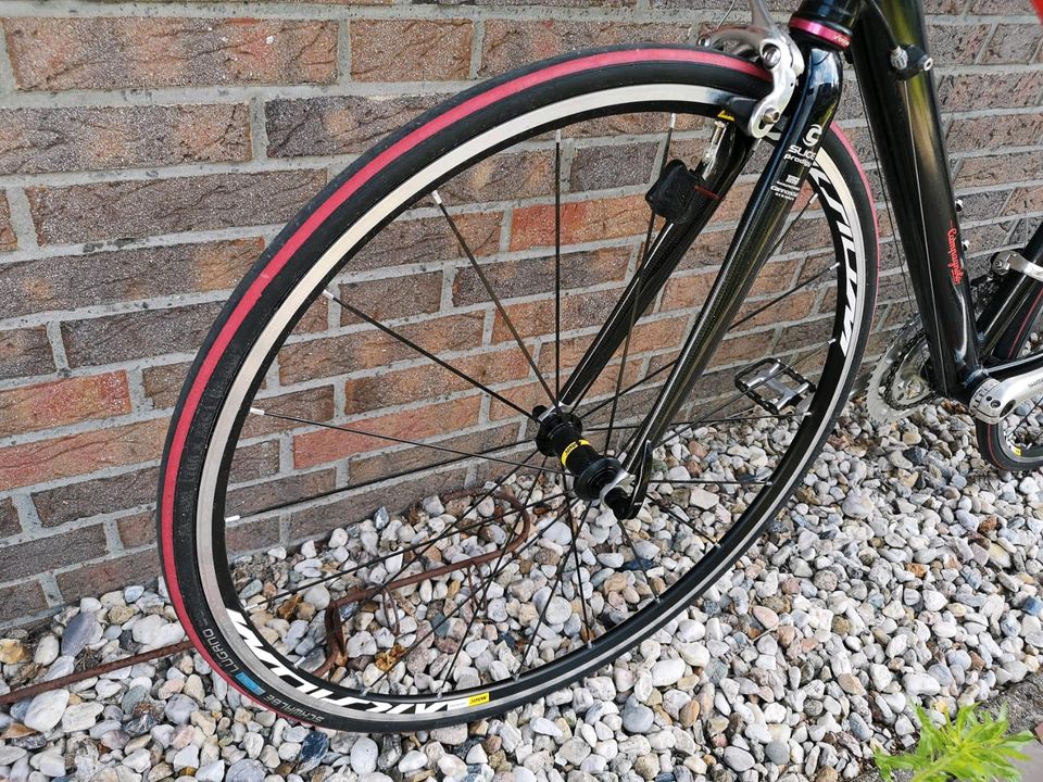 Rennrad Campagnolo 28 Zoll in Bad Zwischenahn