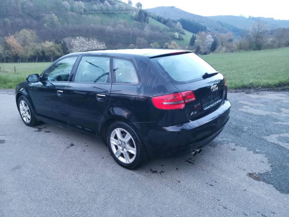 Audi A3 Sportback 2.0 TDI Quattro Tüv 02/2026 Bastler oder Export in Bad Berleburg