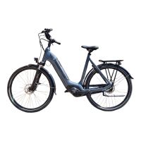 Leichter Einstieg, maximaler Komfort: Der Batavus Altura E-go Power Plus! Altona - Hamburg Blankenese Vorschau