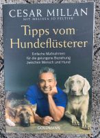 Buch César Millan Tipps vom Hundeflüsterer Kreis Pinneberg - Moorrege Vorschau