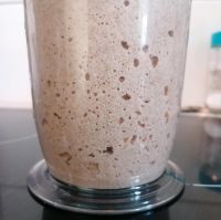 Lievito Madre heller Sauerteig Mutterhefe DIY Berlin - Lichtenberg Vorschau