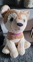 XXL Hund Teddy Plüschtier ca. 85 cm hoch sitzend Hamburg-Nord - Hamburg Barmbek Vorschau