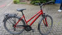 Pegasus Solero SL Trapez 50cm rot Fahrrad 2 J alt NP 840euro Osnabrück - Hasbergen Vorschau