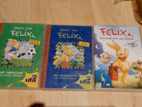 DVD "Felix", Kinderfilm, Trinkfilm Sachsen - Gersdorf Vorschau