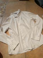 Bluse Comma weiß 44 XL Baumwolle NP 69,99€ NEU ungetragen Bayern - Erding Vorschau