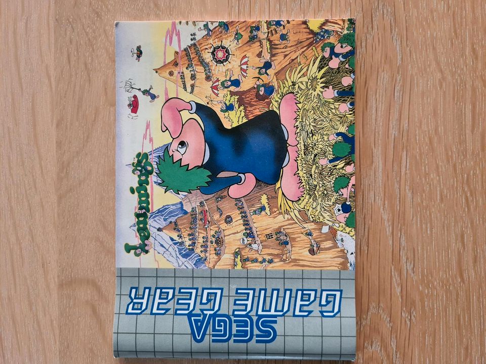 Lemmings SEGA GAME GEAR in Winterlingen