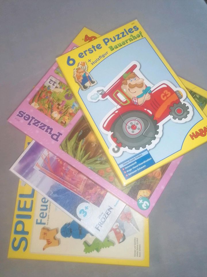 XXL Spielzeug Bücher Paket Haba brettspiel puzzle soundbuch 2,3,4 in Eichwalde