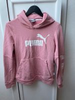 Puma Hoodie Kapuzenpullover Größe S Nordrhein-Westfalen - Minden Vorschau