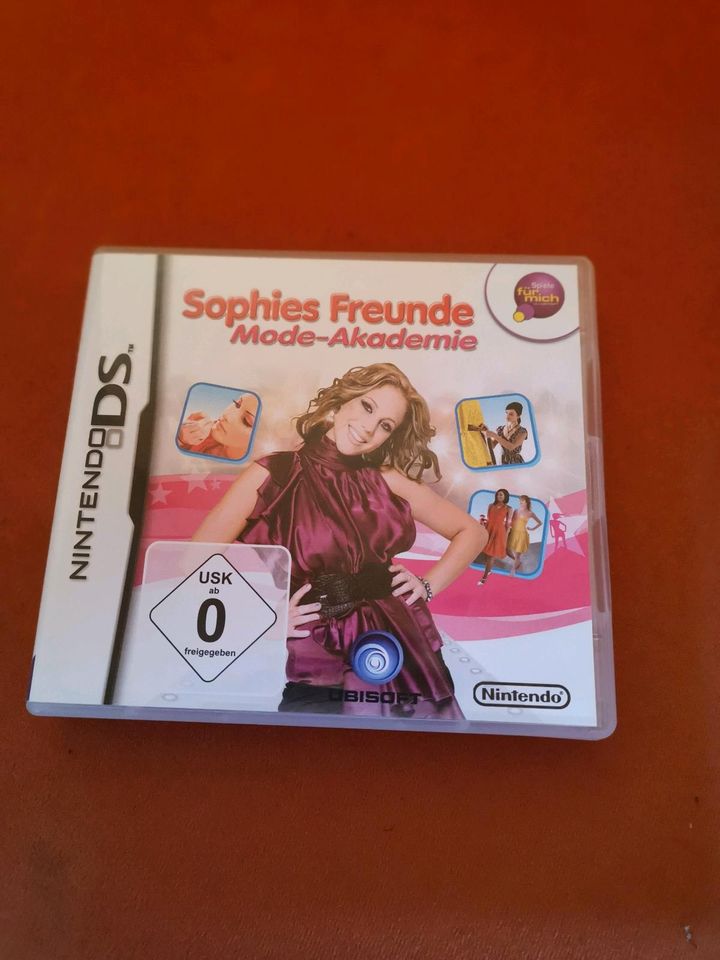 Nintendo Ds Spiel in Weitefeld