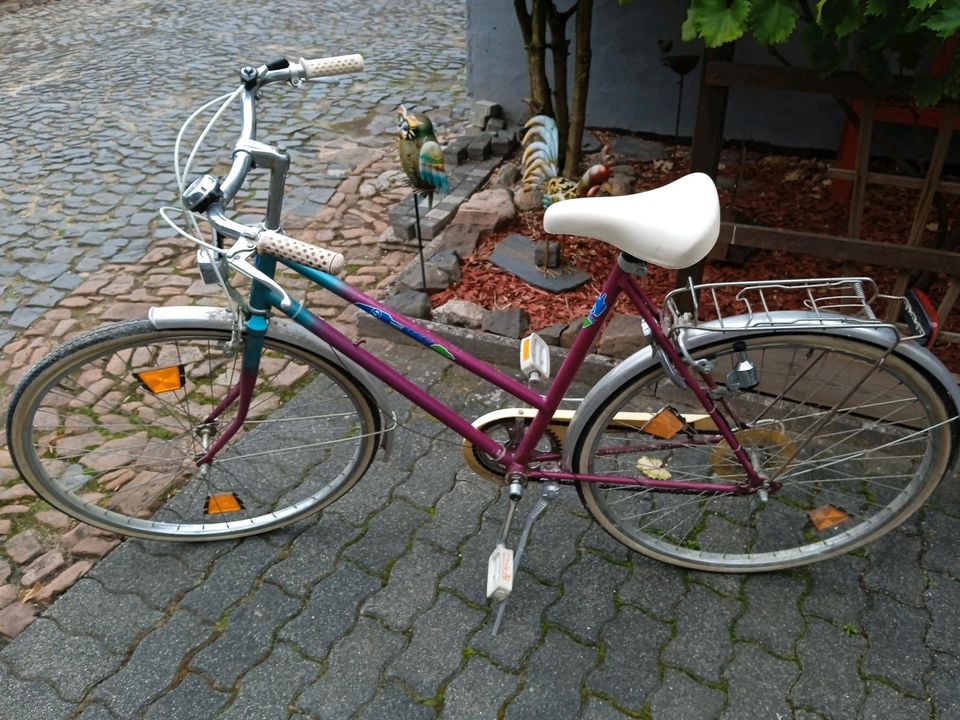 Tausche Pinkes Fahrrad in Rauschenberg
