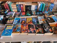 Diverse Fantasy Bücher Nordfriesland - Oster-Ohrstedt Vorschau