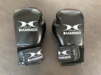 Boxhandschuhe Hammer Level 2 Frankfurt am Main - Nordend Vorschau