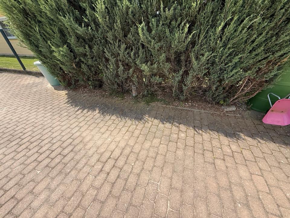 Hilfe für Gartenarbeiten gesucht Unkraut & Beete in SachsenAnhalt
