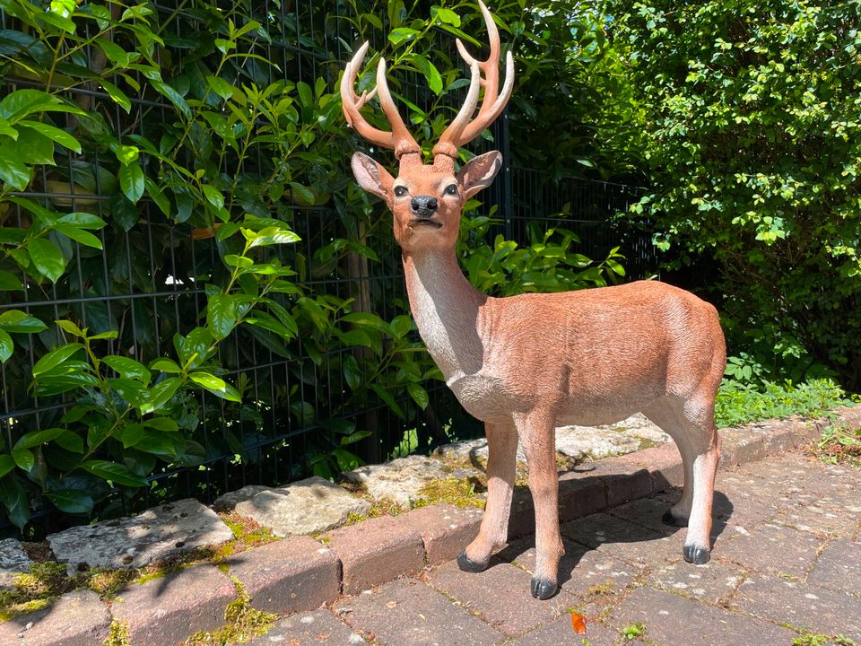 Hirsch Deko Wild Gartenfigur in Waldbreitbach