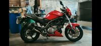 Cagiva Raptor 1000 - Suzuki SV Motor - WENIG KM - MV Agusta Nordrhein-Westfalen - Minden Vorschau