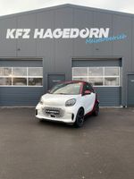 Smart ForTwo cabrio electric drive matt weiß 1.Hd JBL Nordvorpommern - Landkreis - Ribnitz-Damgarten Vorschau