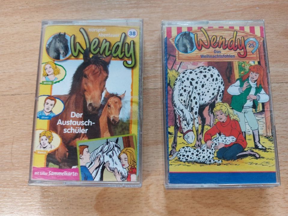 Hui Buh das Schloßgespens 5 CD Wendy Filly Pferd Detektiv Hörbuch in Metzingen